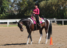 Enjoying the competition at a horse show