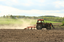 600 million acres are dedicated to hay production