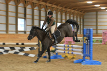 Preventing traumatic brain injury-related deaths in equestrian sports