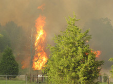Be prepared - Protect horses from wildfires
