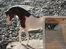 A Breyer horse