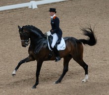 Dressage rider at a canter