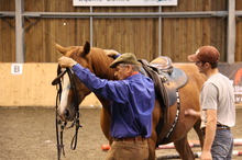 Monty Roberts working with horses and people